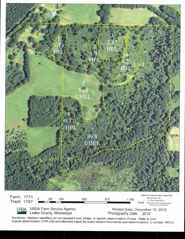 Conrad Martin Real Estate